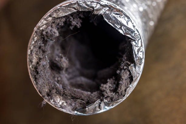 Best HVAC System Cleaning  in Seville, FL